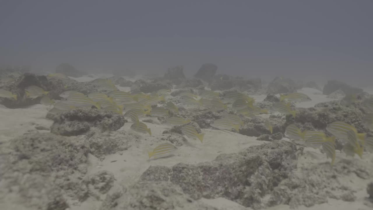 Shallow reef, balanced, dehazed, punched
